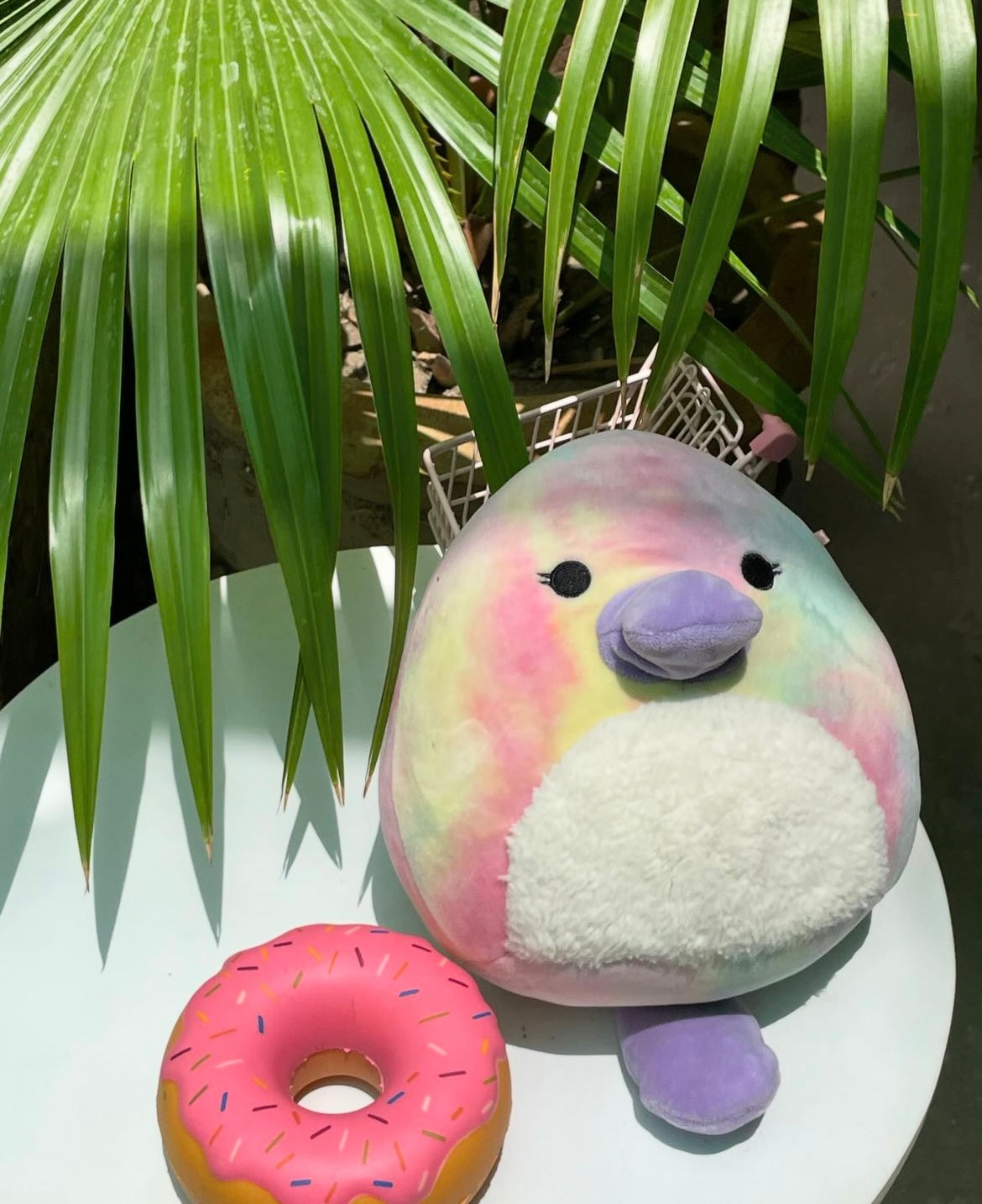 Pastel Squish Mellow