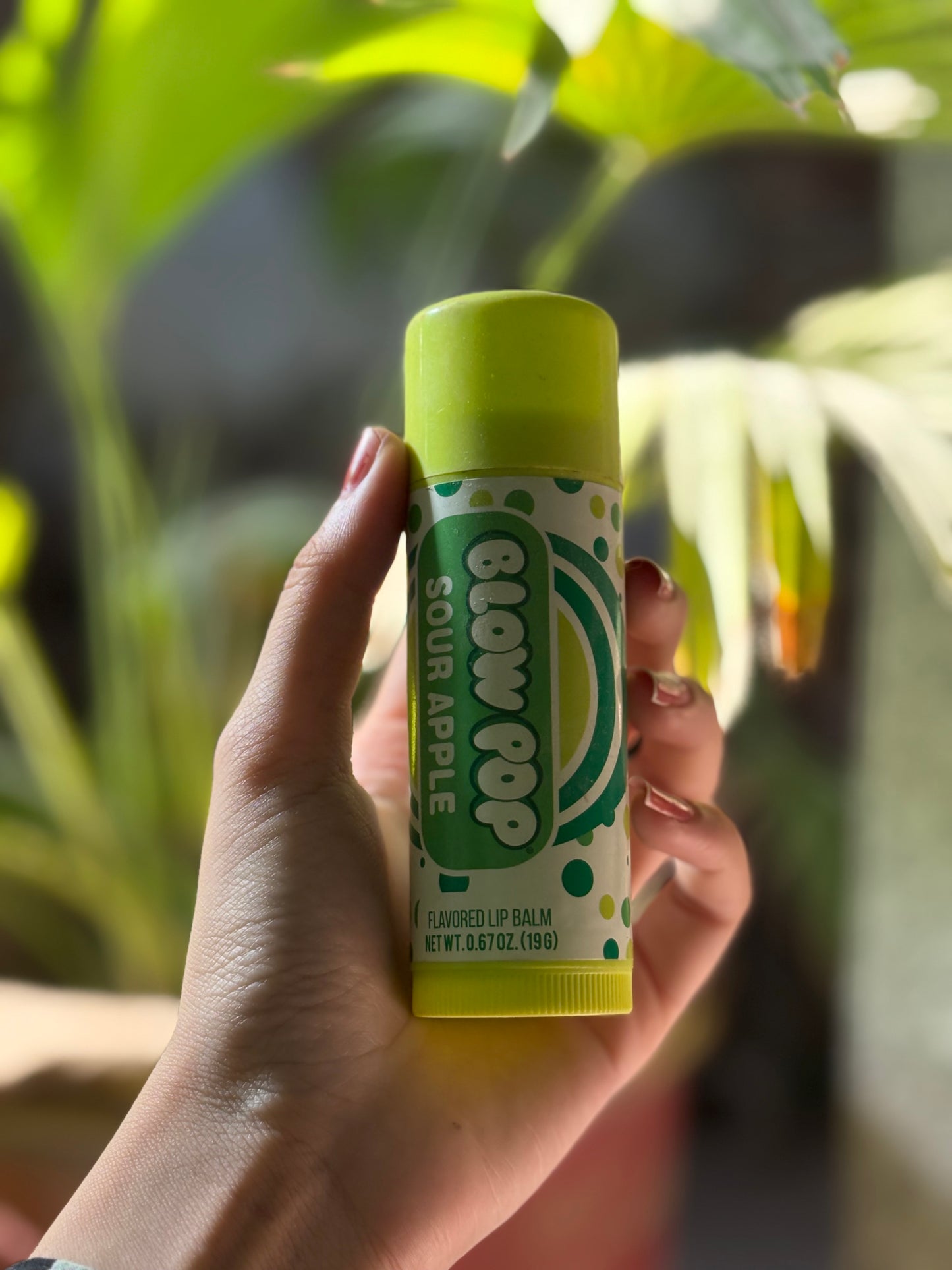 BLOW POP JUMBO LIPBALM